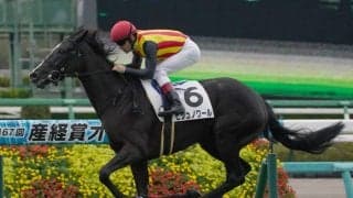 【新馬/中山5R】キタサンブラック産駒 ビジュノワールがデビューV