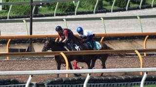 母系にワーケアがいるプレミアスコアがデビュー/関西馬メイクデビュー情報