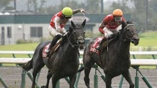 いずれは父バゴの後継種牡馬に　“稀代の道悪巧者”ステラヴェローチェ