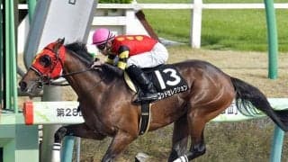 【シリウスS想定騎手】ゴッドセレクションは中井裕二騎手、アナザートゥルースは松山弘平騎手