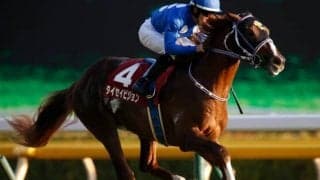 【スプリンターズS展望】秋のGIシリーズ開幕戦、あの穴馬に期待したい