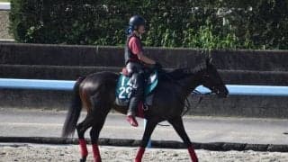 リュミエールノワルなど、先週のゲート試験/栗東トレセンニュース