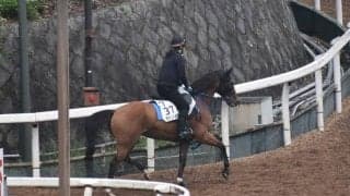 サウンドキアラなど、先週の入厩情報/栗東トレセンニュース