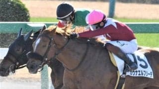 【門別競馬情報】ハイレベルだった14日「新冠町軽種馬生産振興会特別2」上位のマイトレジャーフジ＆ガウナエルフリーデ。今夜、11R「新冠・新ひだか2デイズ特別」12R「新冠町長杯レコードな町新冠特別」に相次ぎ出走！/地方競馬情報