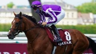 【海外競馬】欧州G1・5連勝のセントマークスバシリカが引退、種牡馬入りへ