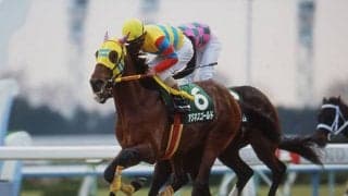 【海外競馬】アグネスゴールドが死亡　ブラジルでG1馬を複数頭輩出