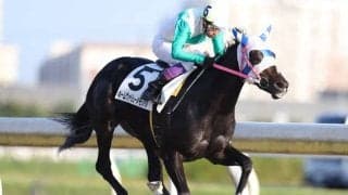 【船橋・ネームヴァリュー・メモリアル結果】加藤和博騎手騎乗トキノゴールドが無傷4連勝