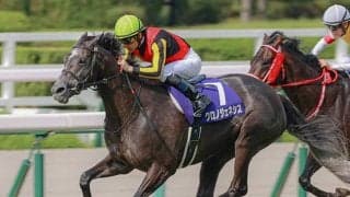 【凱旋門賞】クロノジェネシス、ハリケーンレーン、タルナワなど　第2回登録取消は変動なし