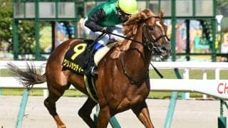 【スプリンターズS予想】ダノンスマッシュ、レシステンシアではない軸候補は中堅絶好調馬 AIは秋GI初戦を波乱幕開けと予想/JRA重賞レース展望