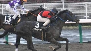 【シリウスS展望】今年も中京ダ1900mで行われる一戦、好走の条件とは