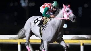 【船橋・千葉ダートマイル結果】矢野貴之騎手騎乗の10歳馬リッカルドが圧勝