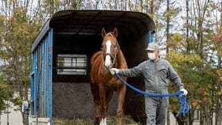 ディープスカイが北海道日高町の「ひだか・ホース・フレンズ」に移動　　