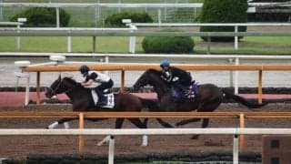 キセキ、京都大賞典1週前追い切り速報/栗東トレセンニュース