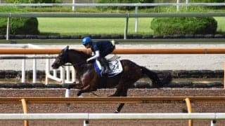 ヴァンドギャルド、毎日王冠1週前追い切り速報/栗東トレセンニュース