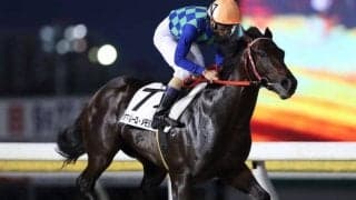 【船橋・アブクマポーロ・メモリアル結果】森泰斗騎手騎乗の1番人気リヴィフェイスが勝利