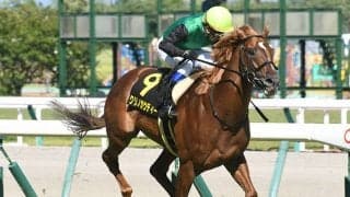 【AI予想】前走好走馬が強いとされるスプリンターズSでAIが選んだ“妙味ある存在”