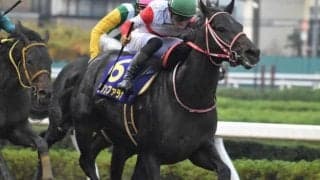 【日本テレビ盃・馬体重】クリソベリルは546kg(-8)、ダノンファラオは537kg(+3)