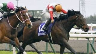 秋のＧⅠ初戦・スプリンターズＳは、「父仔」「母仔」制覇がかかる２頭に注目