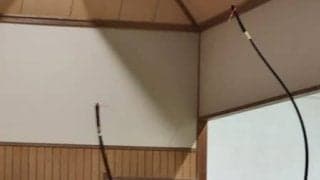 ライバル・中大に勝利！　１部昇格をかけた入れ替え戦へ