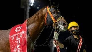 【門別競馬情報】JBC2歳優駿JpnIIIの前哨戦！中距離で台頭してきたシャルフジン＆リコーヴィクター。栄冠賞H2勝ちモーニングショーは控える競馬で巻き返しなるか「第21回サンライズカップH1」/地方競馬情報