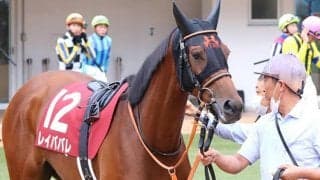 【次走】オールカマー4着のレイパパレはエリザベス女王杯へ