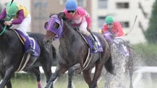 【名古屋・ベイスプリント結果】ナムラマホーホがカツゲキキトキトとの一騎打ちを制す