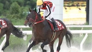 【園田・姫山菊花賞結果】ジンギが断然人気に応えて重賞7勝目
