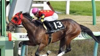 【シリウスS枠順確定】ゴッドセレクションは3枠6番、ハヤヤッコは5枠10番