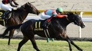 スプリンターズＳで台頭する伏兵のタイプは決まっている。穴党記者はこの２頭を推す