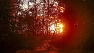 WRCフィンランド：ロバンペラ「夜のオイッティラは大変なチャレンジ」イベント前記者会見