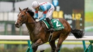 【次走】ラジオNIKKEI賞の覇者ヴァイスメテオールは菊花賞へ、引き続き丸山元気騎手とコンビ