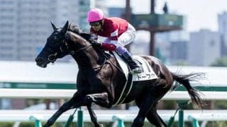 【ききょうS】4.7億円の高額馬ドーブネ　吉田隼人騎手「古馬みたいな落ち着きがあります」