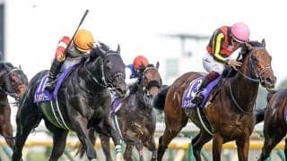 【毎日王冠想定】ダノンキングリー、シュネルマイスター、ヴァンドギャルドなど13頭