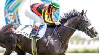 【サウジアラビアRC想定】新馬勝ちのコマンドライン、ウナギノボリなど8頭