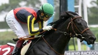 【秋華賞想定】福永祐一騎手はアンドヴァラナウト、ルメール騎手はファインルージュに騎乗予定