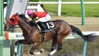 【本日の注目ポイント】中京でダート重賞・シリウスS、高額ドーブネの2戦目など