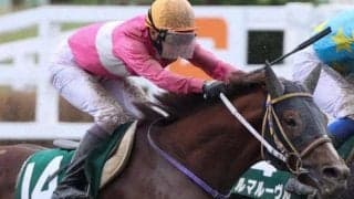 【シリウスS予想】秋一連のダートチャンピオンシップ競走へのステップレース