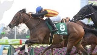 スプリンターズＳは「暴走娘」の参戦で激流必至。無欲の後方一気馬が大穴をあける