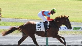 【中京3R新馬戦結果】リメイクが持ったまま8馬身差圧勝、ラニ産駒のJRA初勝利