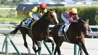 【中京5R新馬戦結果】ジュエラーの仔ヴェールランスが差し切りV、藤岡佑介騎手は通算900勝達成