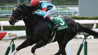 【スプリンターズS予想】有力馬を馬体的見地から考察…「グングン馬が良くなって」いるのは？