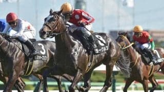 【芙蓉S結果】モーリス産駒ラーグルフがゴール前で差し切り連勝