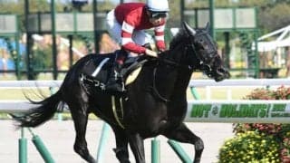 【ききょうS結果】超高額ディープ産駒ドーブネが逃げ切り無傷2連勝