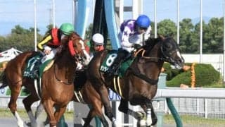 【シリウスS結果】サンライズホープがウェスタールンドを振り切って重賞初制覇