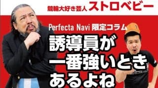 ストロベビー・ディエゴ『風の気持ちいい季節になりましたね』