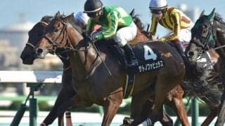 【万哲の馬場予報】馬場の回復が更に進み、例年通りの高速決着になりそう