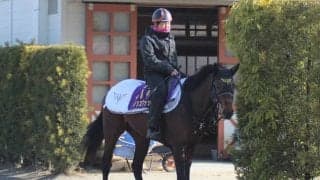 【スプリンターズS】安田隆師「ダノンスマッシュが完成されてきたな、と感じます 」/ねぇさんのトレセン密着