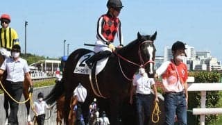 【JRA】内ラチ衝突のグレートキャンベラは左前肢挫創、川田将雅騎手は異状なし