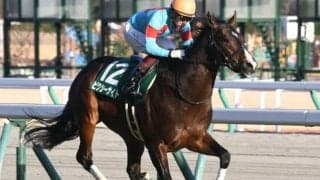 【スプリンターズS予想】秋GI開幕！注目すべきデータは前走の着順か/JRAレース展望