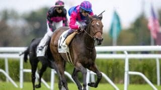 【サンクルー7R】武豊騎手はメイショウフェリシティに騎乗し8着